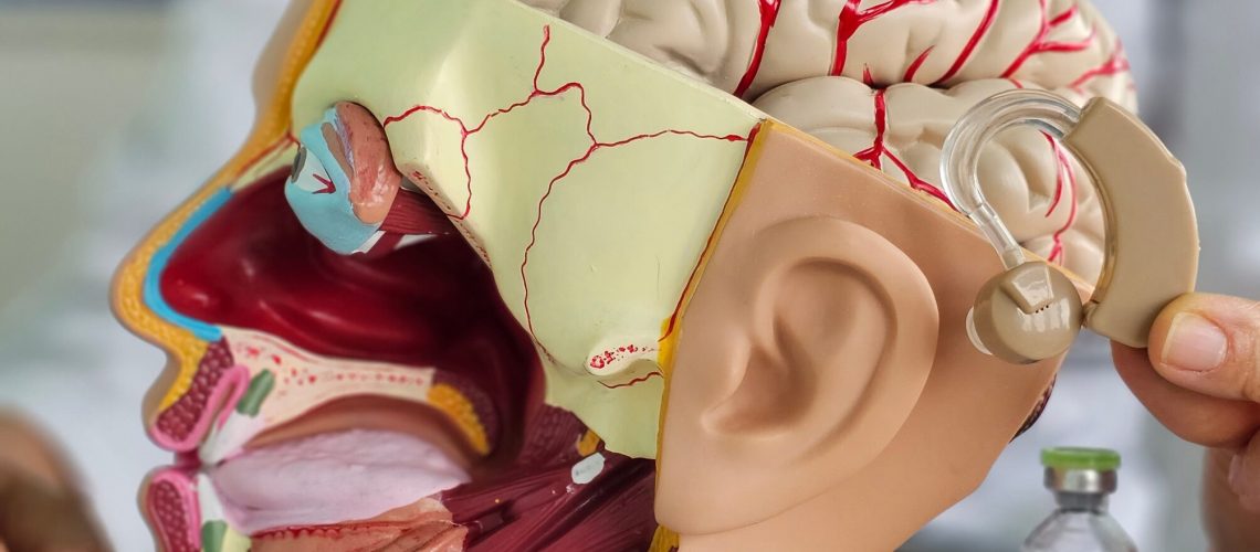 Hearing,Aids,To,Support,Brain,Function.,Assessing,Hearing,Loss,In